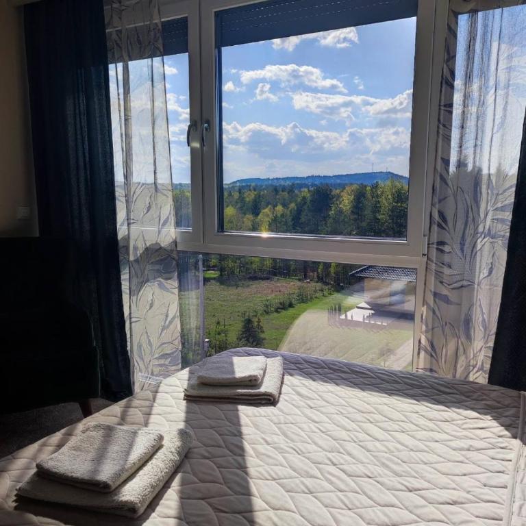 Apartman Ambijent Divcibare - Deluks Studio sa Queen Krevetom - 10