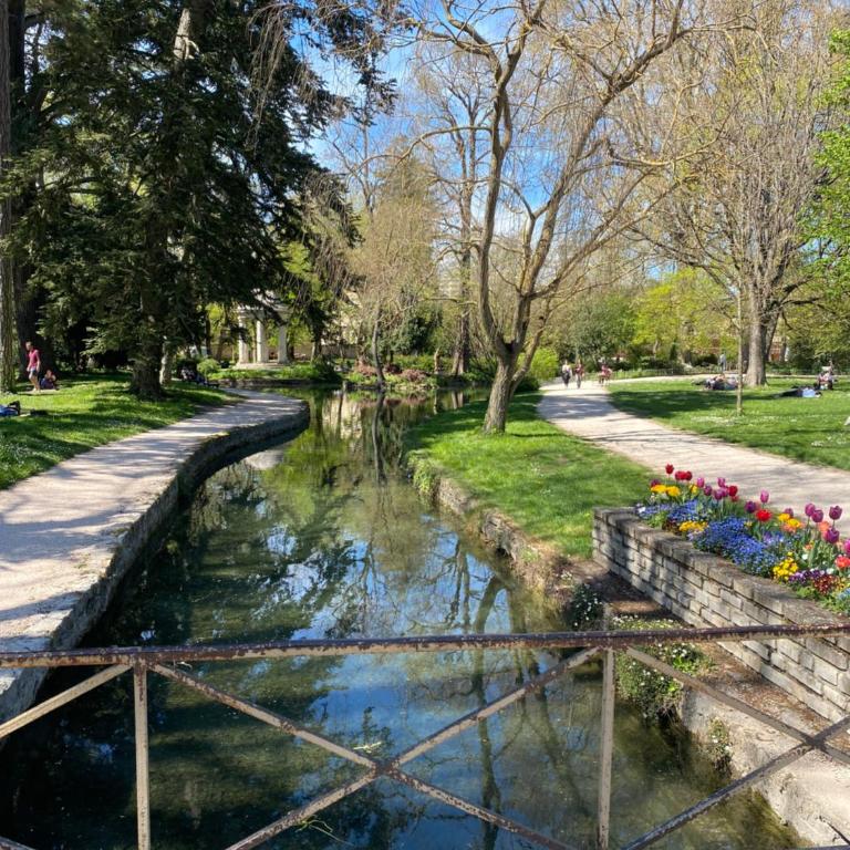 Le jardin des plantes - Appartement 1 Chambre - 10