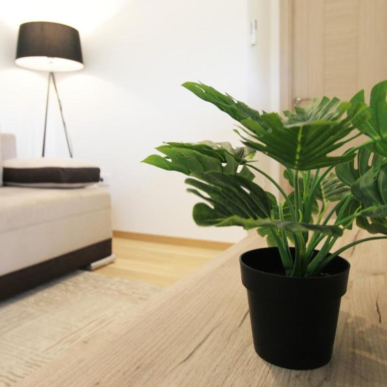 Cozy one bedroom apartment in Tivat - One-Bedroom Apartment - 6
