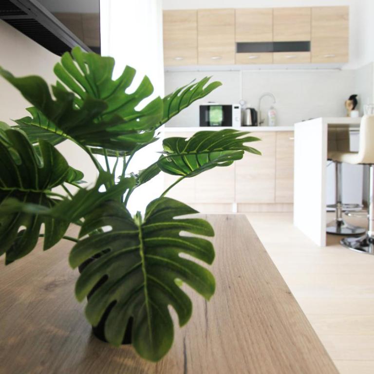Cozy one bedroom apartment in Tivat - One-Bedroom Apartment - 14