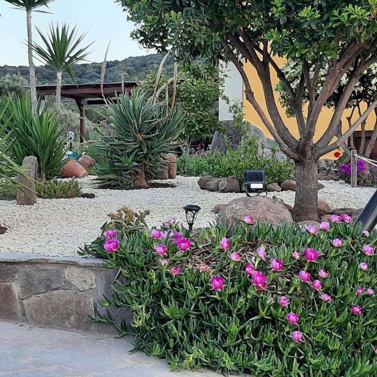Villa Saige , piscina con idromassaggio - Villa - 99