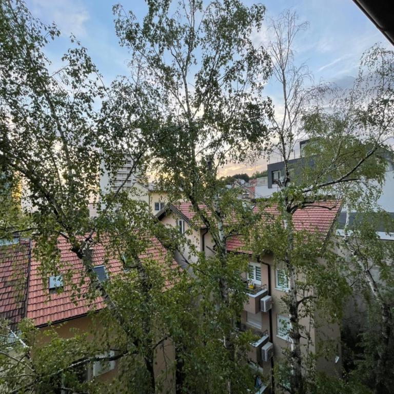 Modern & cozy 2-bedroom vacation home in Sarajevo - Two-Bedroom Apartment - 32