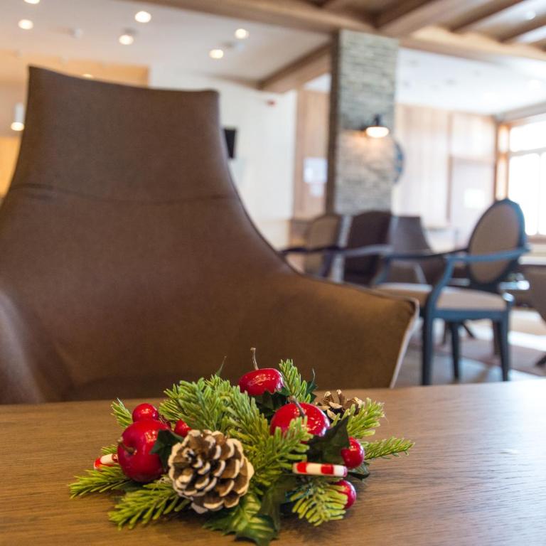 Five-O-Six Apartment, Župa-Kopaonik - Apartman sa 1 Spavaćom Sobom - 40