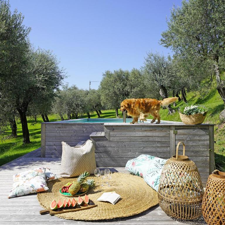 Villa Gran Paradiso - Villa with Private Pool - 24