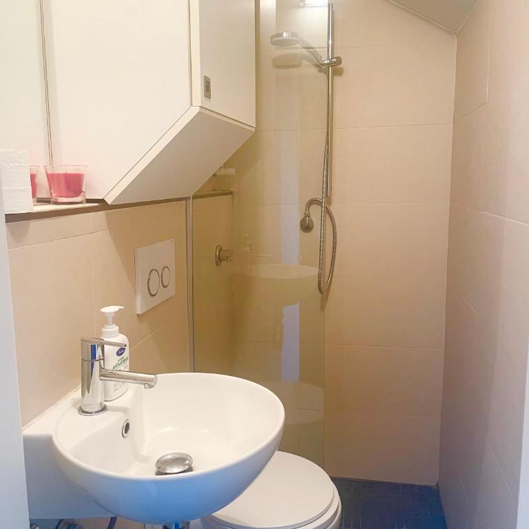 Mansarda GALLIARI F51 - One-Bedroom Apartment - 6