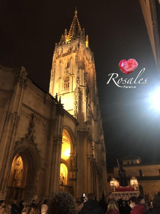 ROSALES Apartamento y jardín - Apartamento de 1 dormitorio - 22