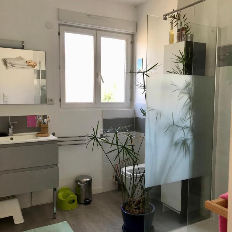 Maison au bord de l'étang de Thau- Sète - Villa 1 Chambre - 8