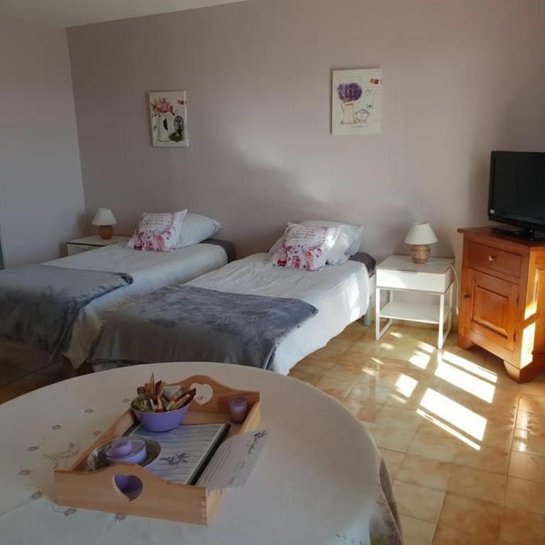 Résidence Lou Cigaloun - ANA LOCATION - Monolocale con Terrazza - 17