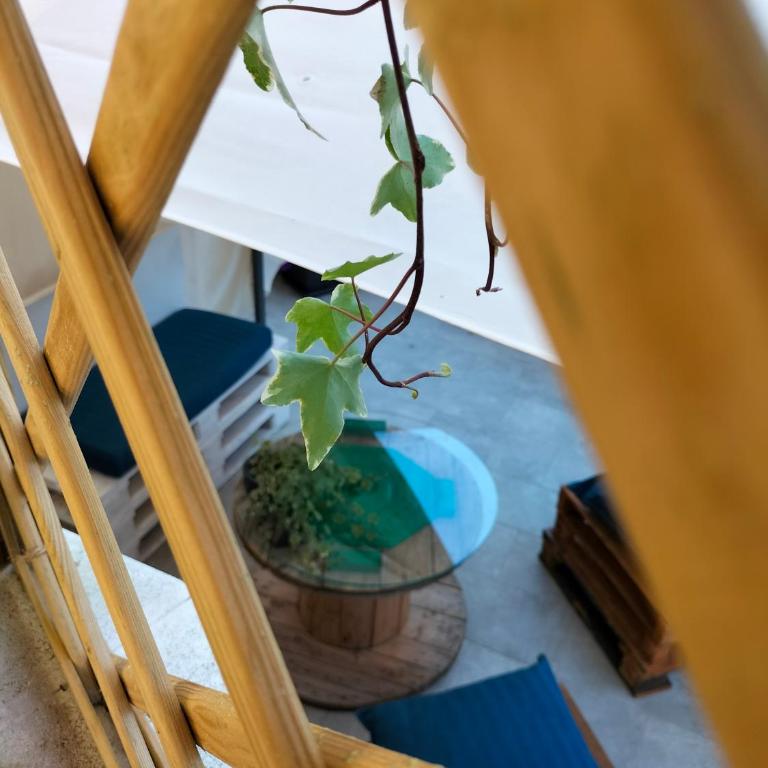Casetta albalè - Appartement - Rez-de-Chaussée - 49