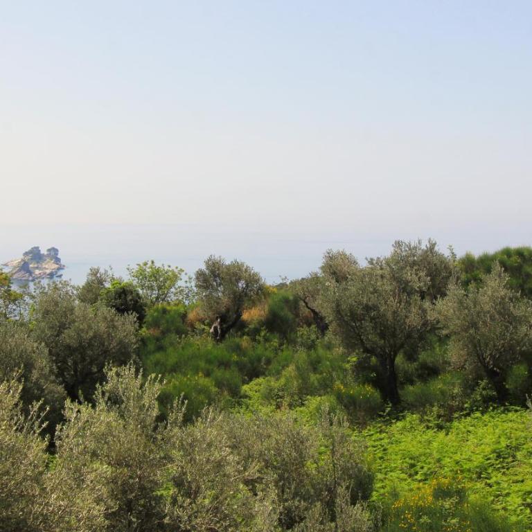 Romantic sea view apartment in Petrovac - Two-Bedroom Apartment - 13