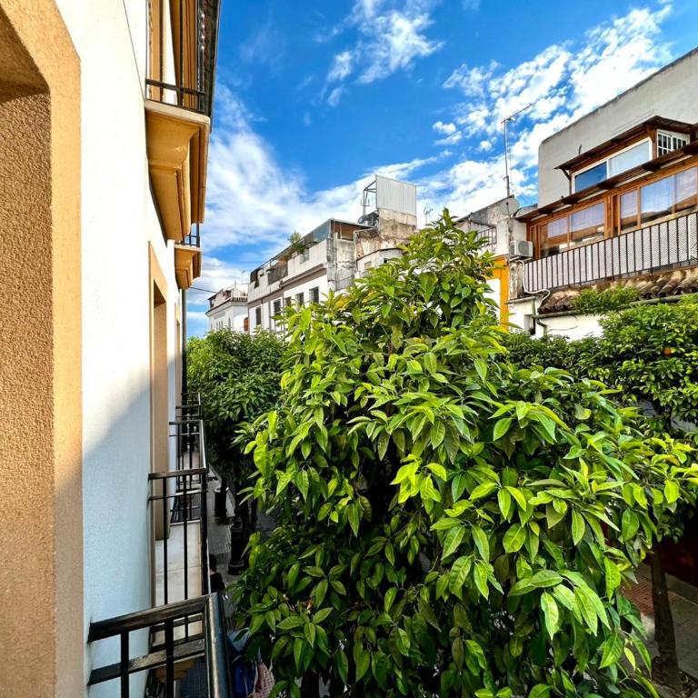 San Fernando de la Ribera - Three-Bedroom Apartment - 9