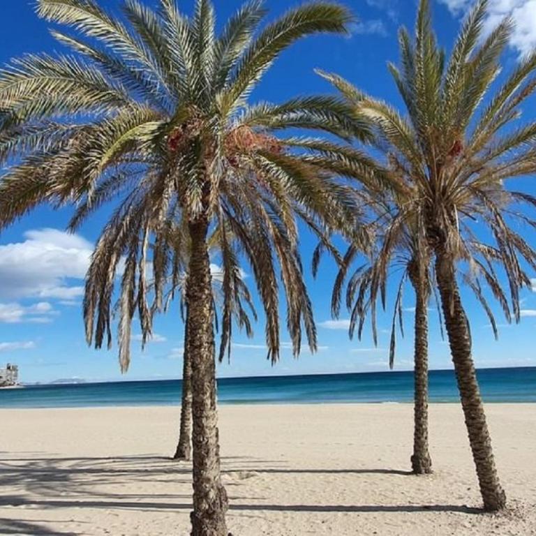 California Suite - All-day Sunny 2-Bedroom Apartment - Apartamento de 2 dormitorios - 43