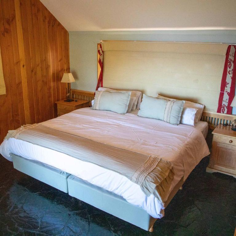 Arrayan Lake View Mountain Lodge & Casa De Te Arrayan - Estudio con cama extragrande - 6