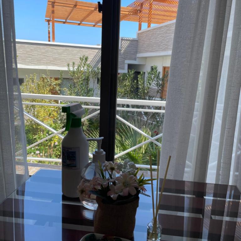 Hotel Pacífic Suites Tocopilla - Habitación Deluxe - 16