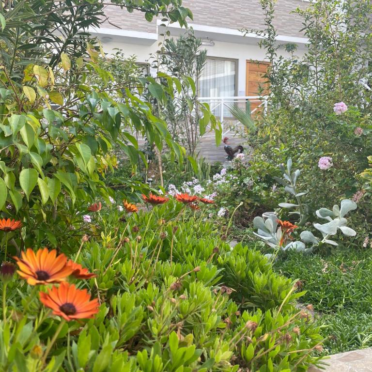 Hotel Pacífic Suites Tocopilla - Habitación Deluxe - 19