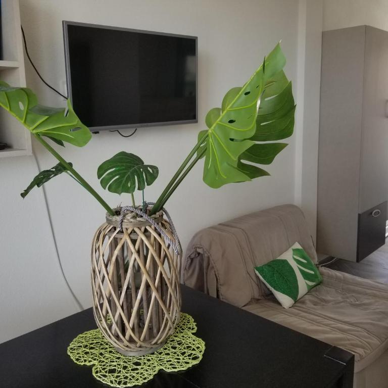Aparthotel Monterria - Studio Apartment - 12