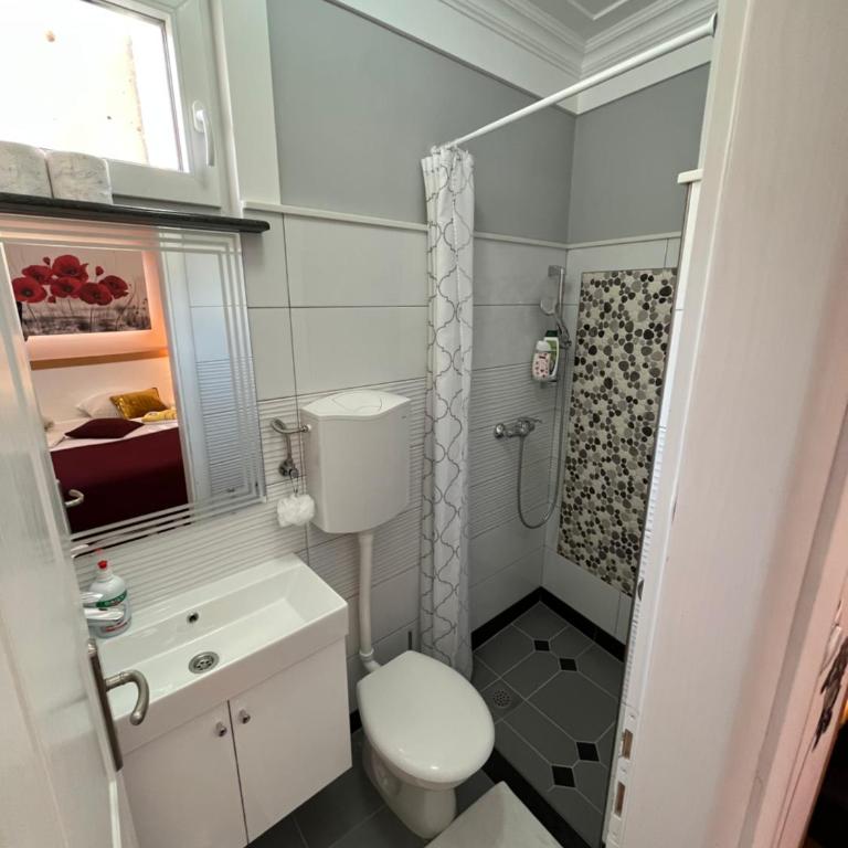Hostel Dino - Dvokrevetna Soba sa Bračnim Krevetom i Kupatilom - 6