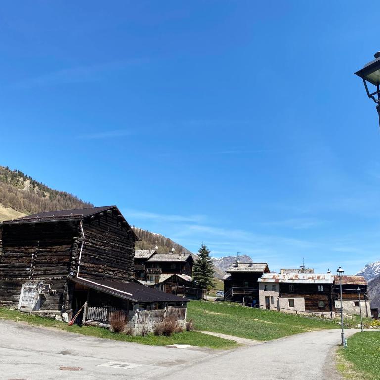 Mountain Chalet Milly - Appartamento con Vista Giardino - 60