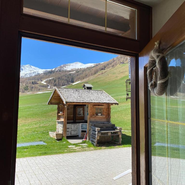Mountain Chalet Milly - Appartamento con Vista Giardino - 11