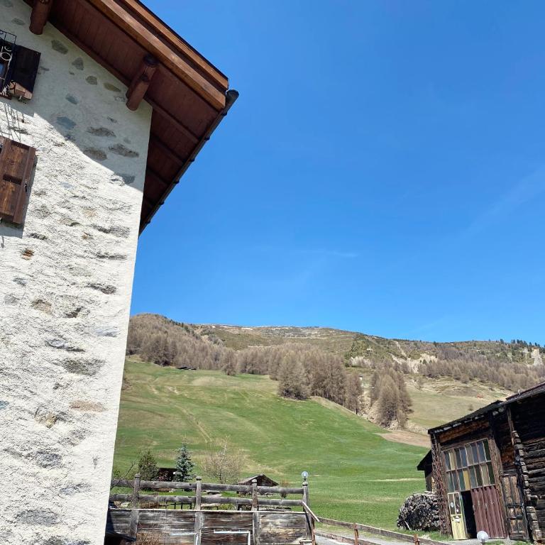 Mountain Chalet Milly - Appartamento con Vista Giardino - 58