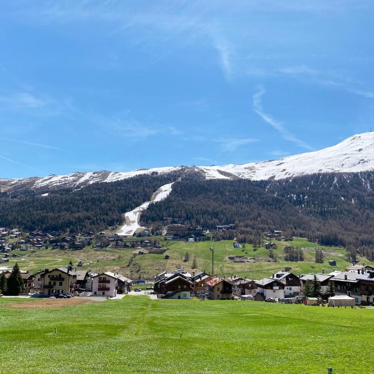 Mountain Chalet Milly - Appartamento con Vista Giardino - 61