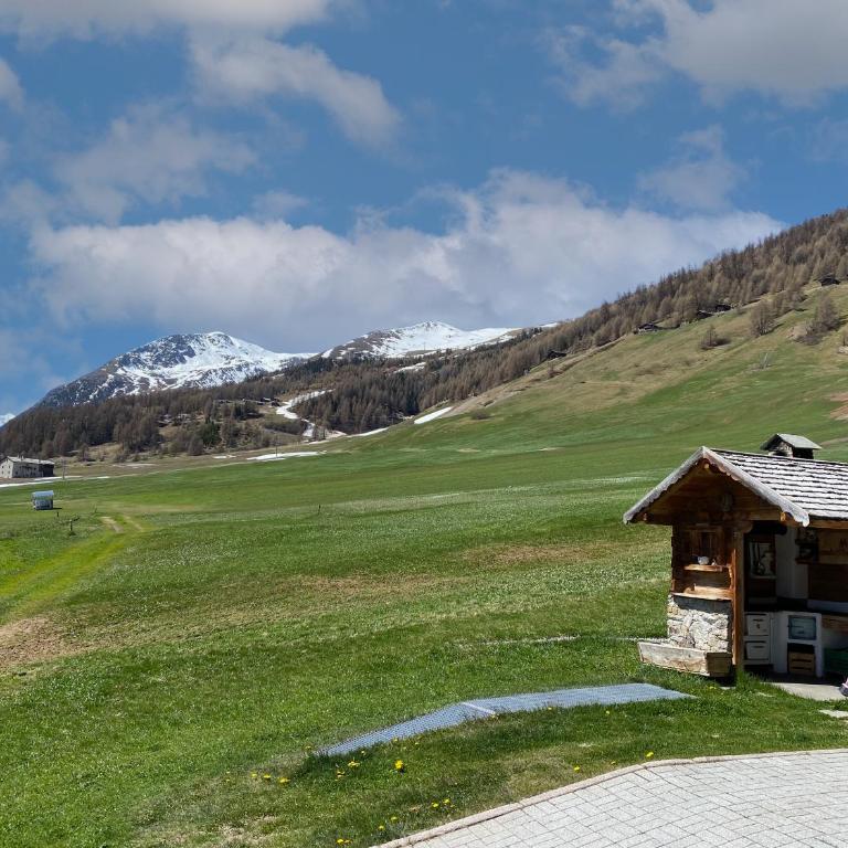 Mountain Chalet Milly - Appartamento con Vista Giardino - 62