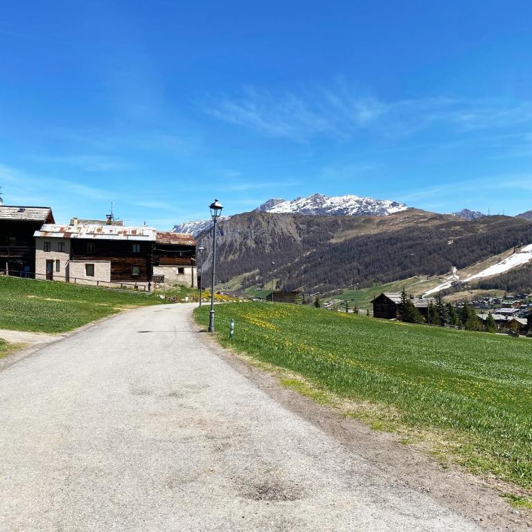 Mountain Chalet Milly - Appartamento con Vista Giardino - 59