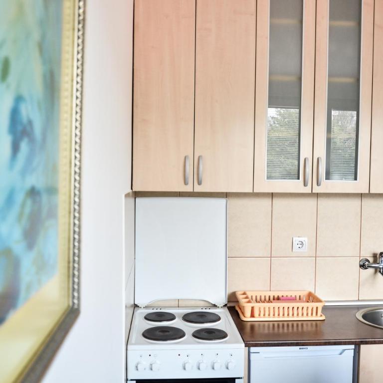 Helena Apartments - Studio sa Pogledom na Planinu - 4