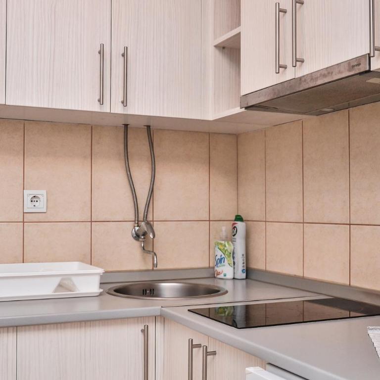 Helena Apartments - Apartman sa Pogledom na Planinu - 9