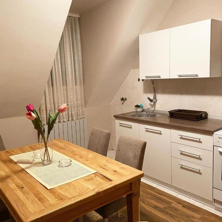Apartment Aleksandra - Apartman sa 2 Spavaće Sobe - 3