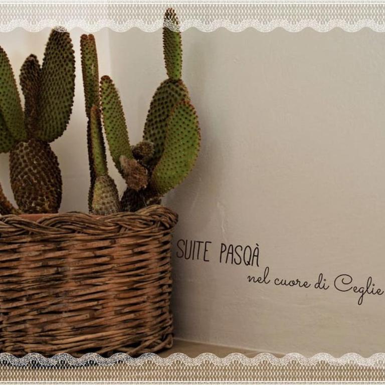Suite Pasqà - Casa con 1 Camera da Letto - 19