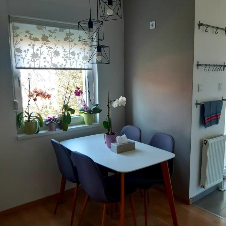 APARTMAN IRIS - Apartman sa 1 Spavaćom Sobom - 5