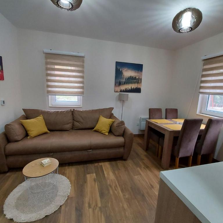 Apartmani Borova Iglica Divčibare - Apartman sa 1 Spavaćom Sobom - 17