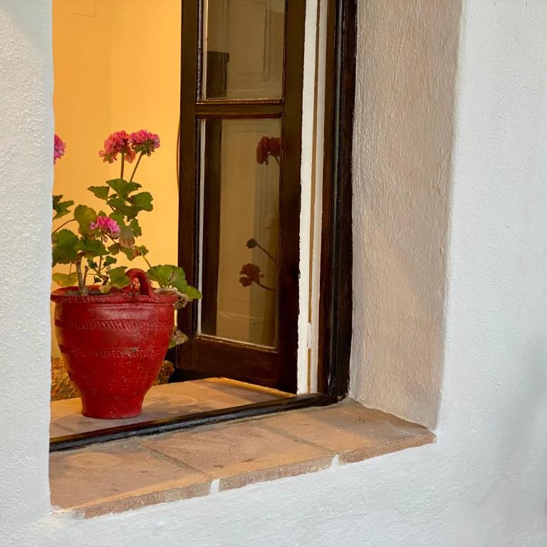 Casa Lunacer - Apartamento de 1 dormitorio - 19
