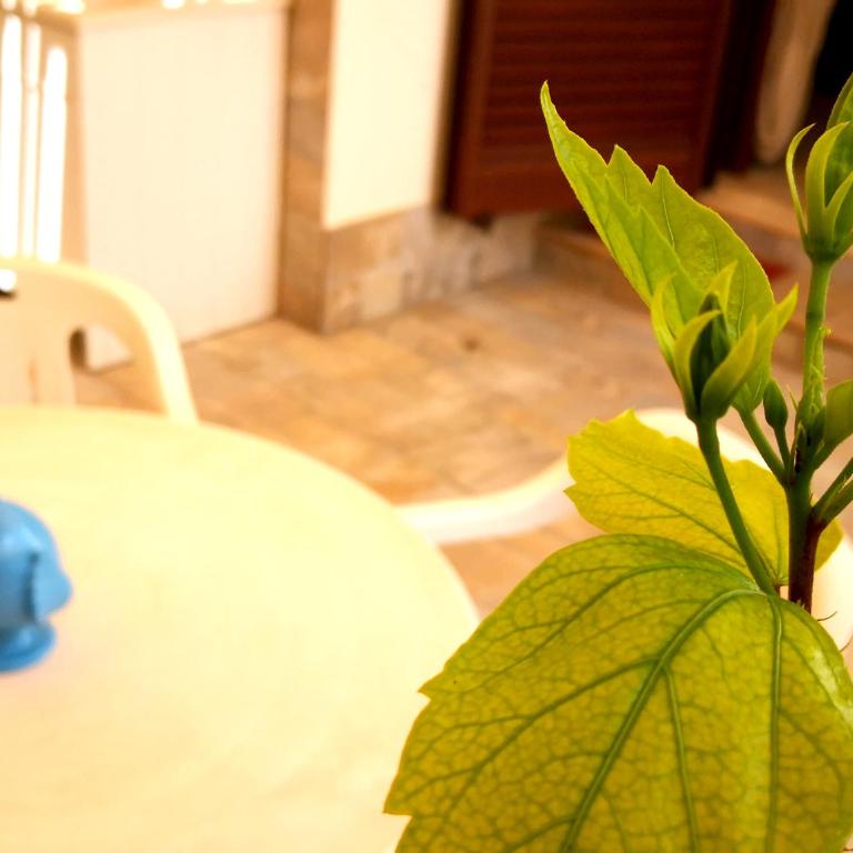 Casina Maria al Mare - Casa Vacanze - 61