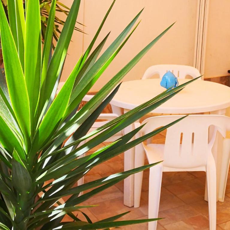 Casina Maria al Mare - Casa Vacanze - 54