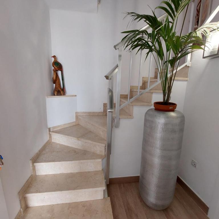 Apartamento Junto Al Mar - One-Bedroom Apartment - 11