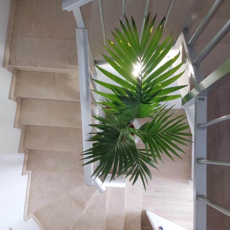 Apartamento Junto Al Mar - One-Bedroom Apartment - 12