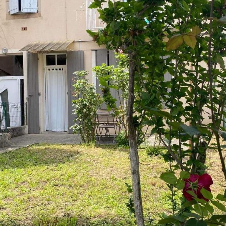 Les Palmiers - Appartement - Rez-de-Chaussée - 4