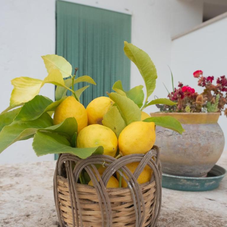 I Trulli di Mina - Trullo Girasole - Two-Bedroom House - 16