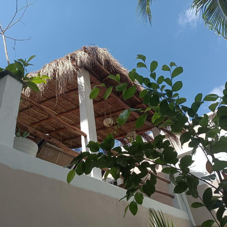 Kika Studios - Deluxe Triple Room - 2