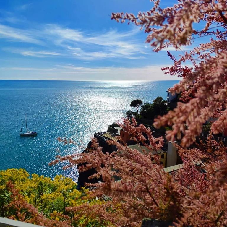 Maison Exotique - Riomaggiore / Cinque Terre / Beach Travel - Appartamento con 2 Camere da Letto - 15