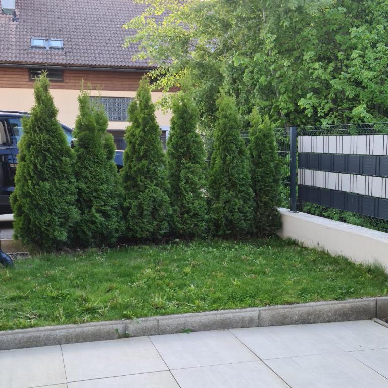 Beutlich's Wörtherseeappartements - Apartment mit 1 Schlafzimmer - 6