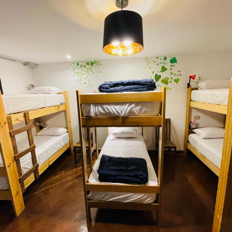 Rainbow Hostel - Habitación Compartida Mixta de 8 camas - 2