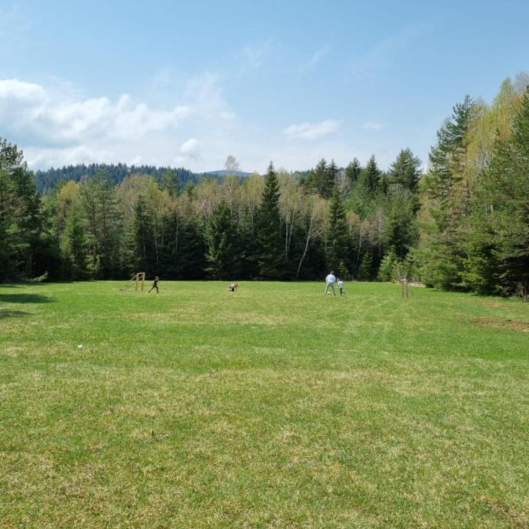 Kuca za odmor Harmonija - One-Bedroom House - 46