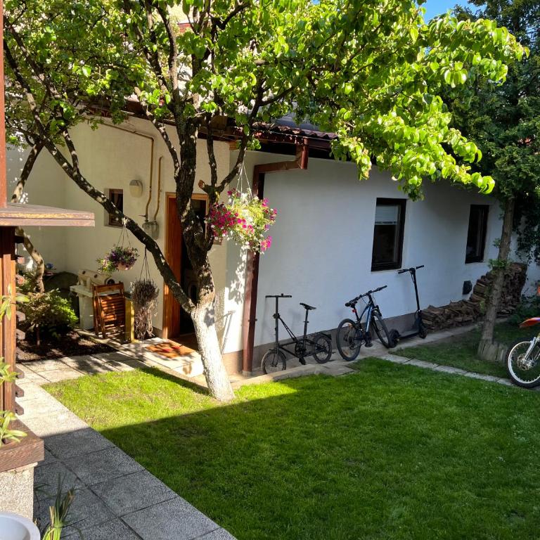 Apartments Music and Garden - Studio with Garden View - 6