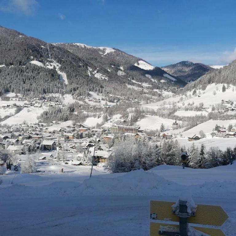 Panoramaalm - Ski in - Ski out - Apartment mit 2 Schlafzimmern - 13
