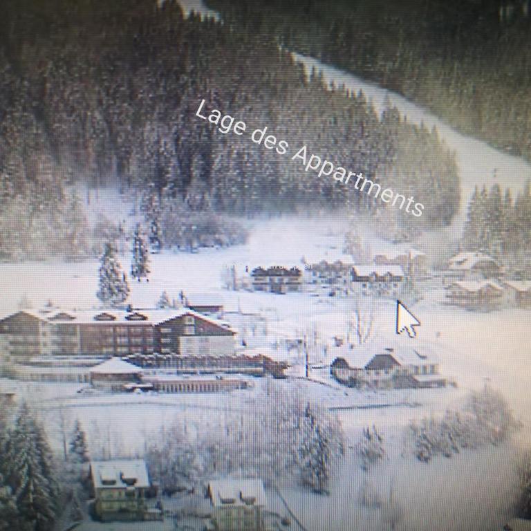 Panoramaalm - Ski in - Ski out - Apartment mit 2 Schlafzimmern - 19