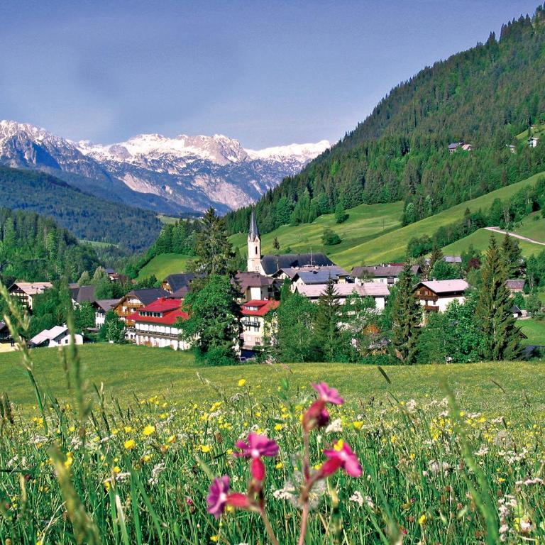 Ferienwohnung in der Nähe von Hallstatt - Apartment mit Terrasse - 48