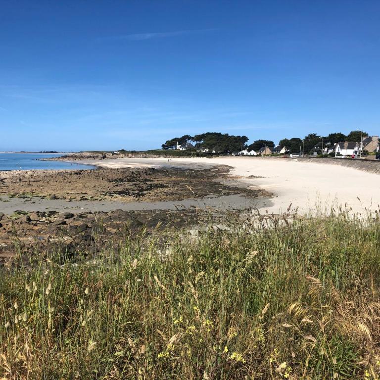 Carnac plage T2 avec terrasse Pour 4 personnes - Appartement 1 Chambre - 6